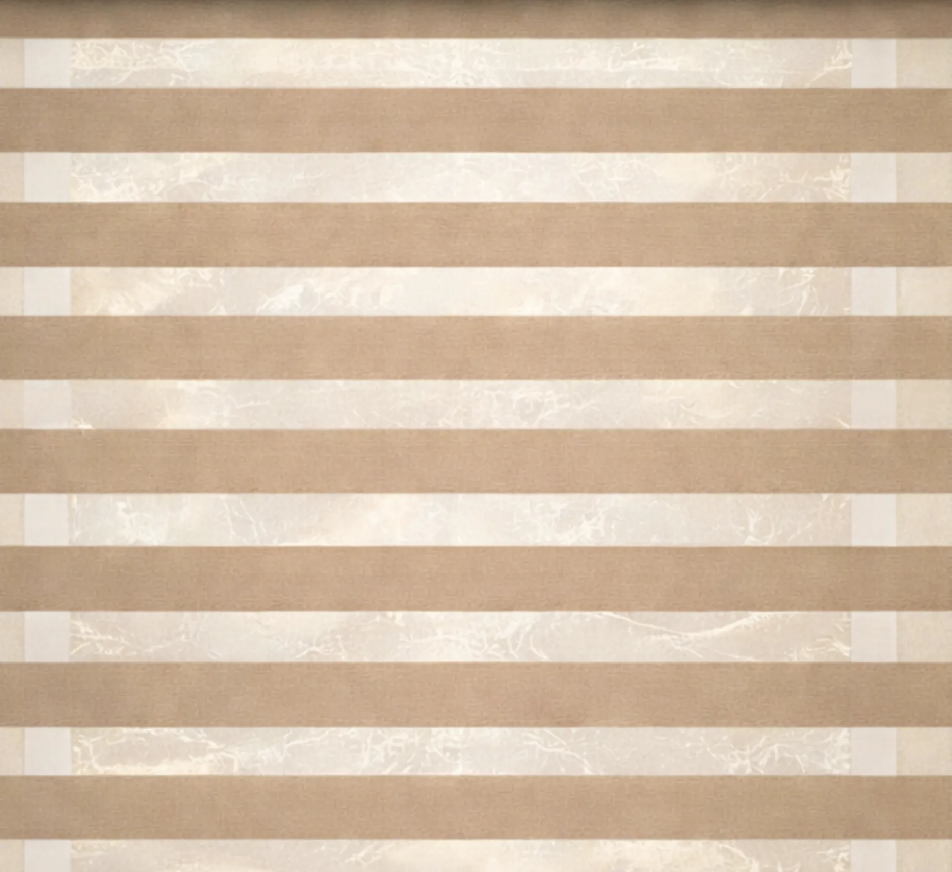 Zebra Blind 4